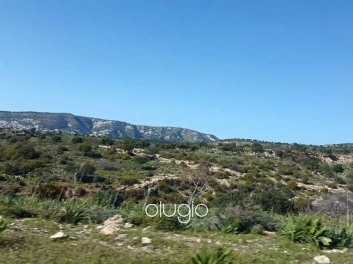 Image No.3-Terre à vendre à Peyia