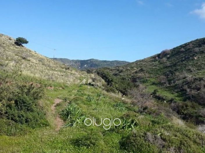 Image No.5-Terre à vendre à Peyia
