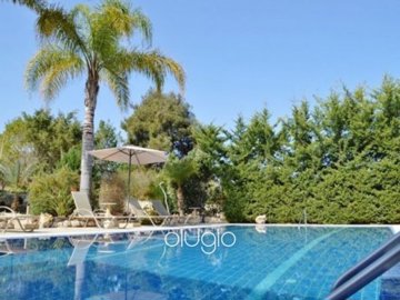 23120-4-bedroom-spacious-villa-argaka-paphosf