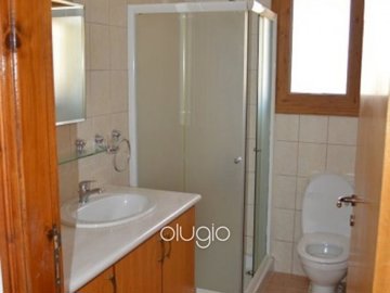 23125-4-bedroom-spacious-villa-argaka-paphosf