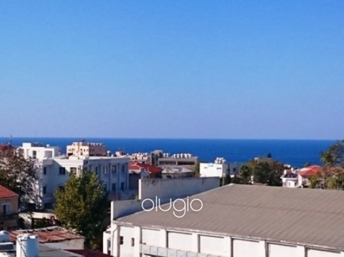 Image No.4-Commercial for sale