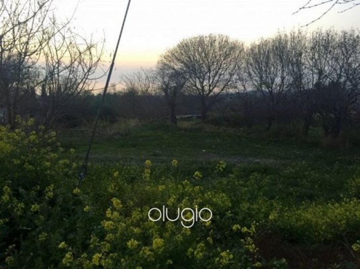 Image No.4-Terrain à vendre à Tala
