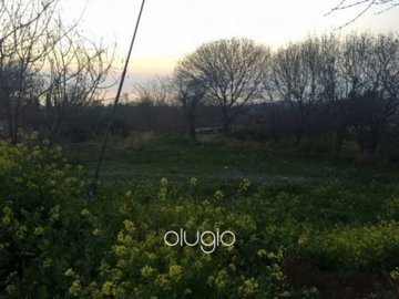 43665-plot-with-amazing-sea-views-tala-paphos