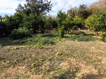 58639-land-in-anavargos-paphosfull