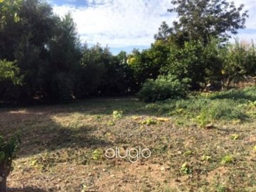 58641-land-in-anavargos-paphosfull