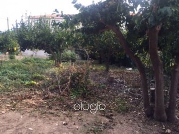 58645-land-in-anavargos-paphosfull