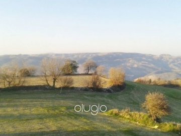 60329-smart-4-bedroom-house-in-koilifull