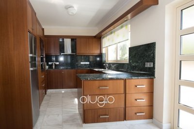 68547-detached-villa-for-sale-in-neo-choriofu