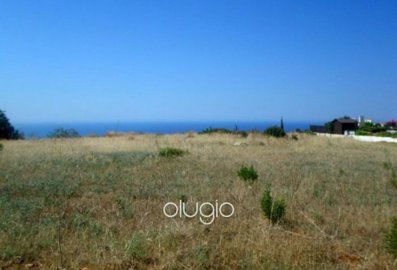 88561-residential-land-for-sale-in-acheleiafu