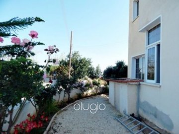 93696-detached-villa-for-sale-in-acheleiafull