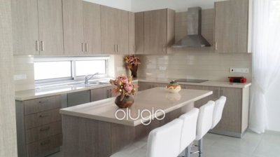 111855-detached-villa-for-sale-in-acheleiaful