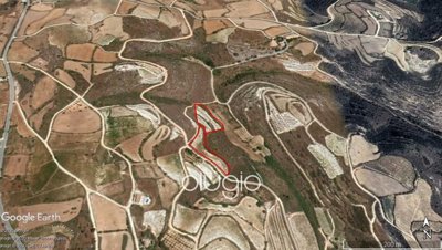 124682-agricultural-land-for-sale-in-pano-aro