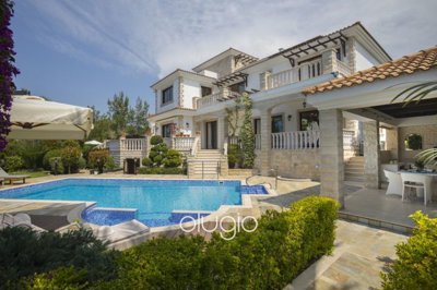 134238-detached-villa-for-sale-in-argakafull