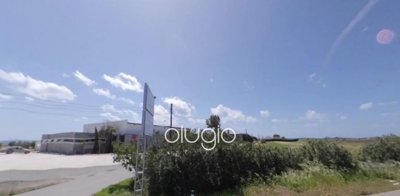 143741-residential-land-for-sale-in-timifull