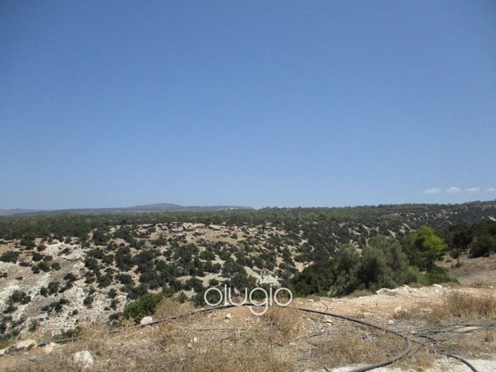 Image No.4-Villa de 5 chambres à vendre à Peyia