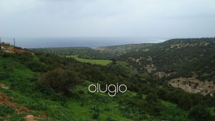 Image No.5-Villa de 5 chambres à vendre à Peyia