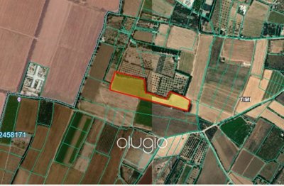 188068-agricultural-land-for-sale-in-timifull