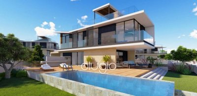 153304-detached-villa-for-sale-in-chlorakaful