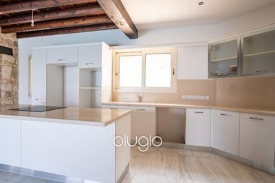 159856-detached-villa-for-sale-in-acheleiaful