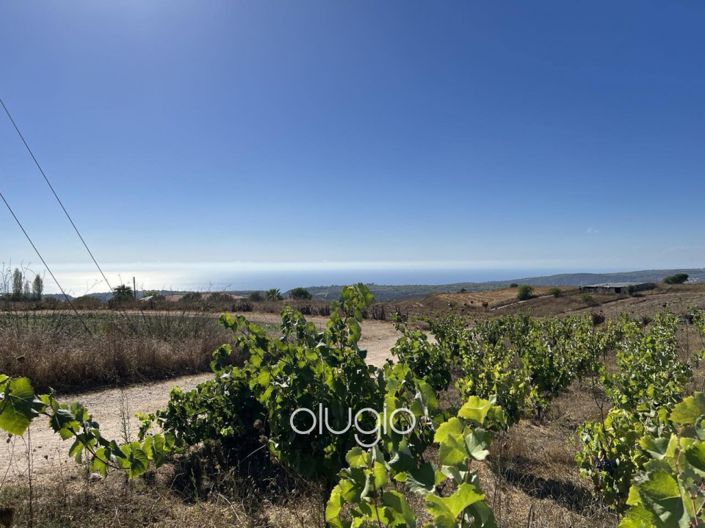 Image No.3-Plot for sale