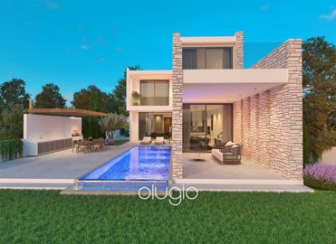 177878-detached-villa-for-sale-in-tombs-of-th