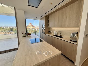 184839-penthouse-for-sale-in-kato-paphosfull