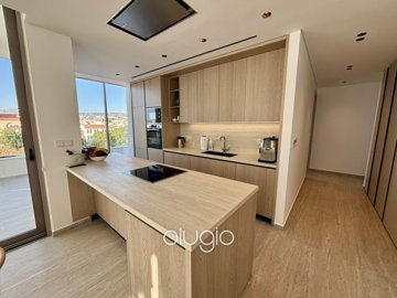 184840-penthouse-for-sale-in-kato-paphosfull