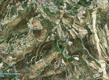 185458-agricultural-land-for-sale-in-tsadaful