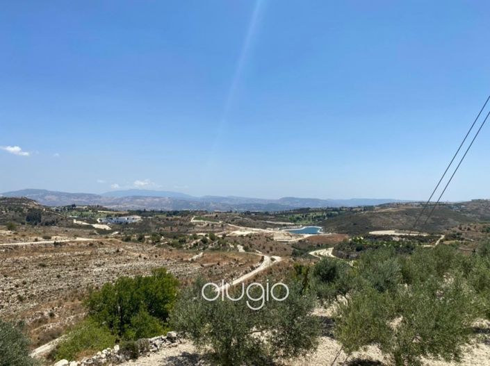 Image No.3-Terre à vendre à Tsada