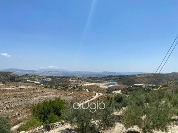 185460-agricultural-land-for-sale-in-tsadaful