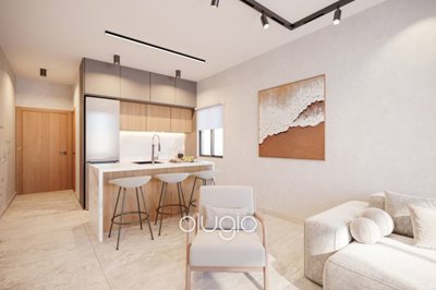 185721-apartment-for-sale-in-chlorakafull