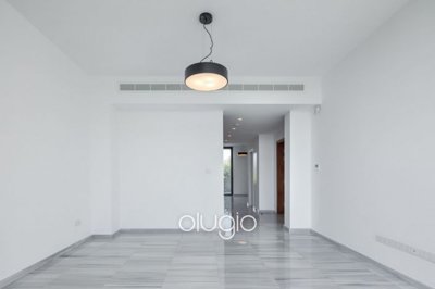 186263-detached-villa-for-sale-in-exo-vrisifu
