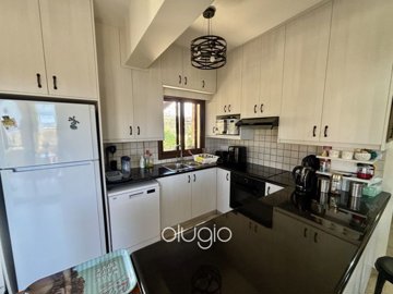 187232-detached-villa-for-sale-in-peristerona