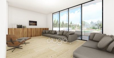 148862-detached-villa-for-sale-in-acheleiaful