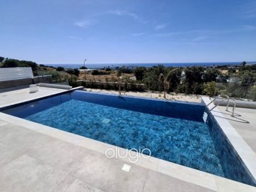 194940-detached-villa-for-sale-in-chlorakaful