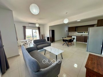 195919-apartment-for-sale-in-mesoyifull
