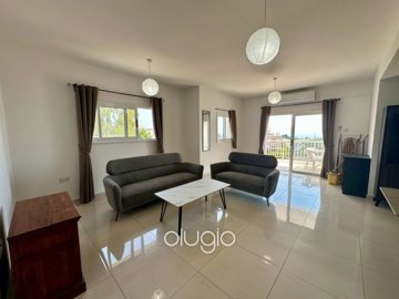 195924-apartment-for-sale-in-mesoyifull