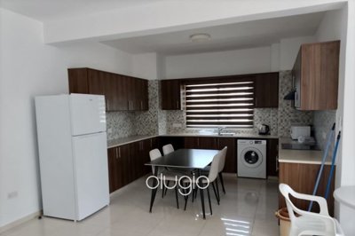 195809-apartment-for-sale-in-mesoyifull