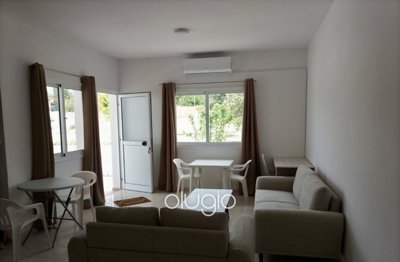 195811-apartment-for-sale-in-mesoyifull