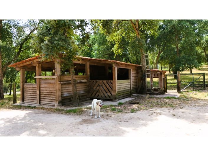 Image No.8-Ferme de 4 chambres à vendre à Alcobaça