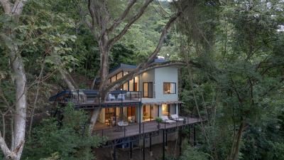 Colina-5-main-picture-with-tree--1-