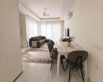 WhatsApp-Image-2026-03-31-at-16-36-21