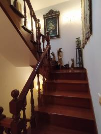 IMG-20250806-WA0052--1-