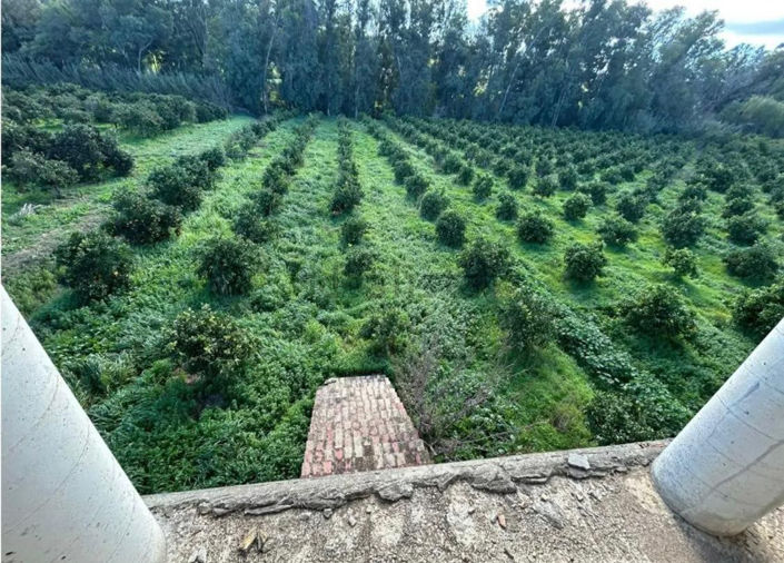 Image No.18-4 Bed Finca for sale