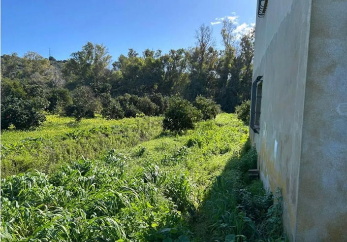 Image No.2-4 Bed Finca for sale