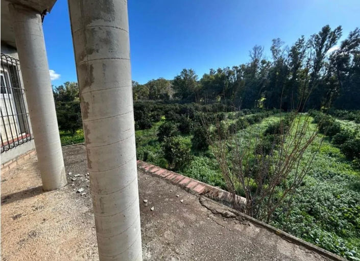 Image No.3-4 Bed Finca for sale