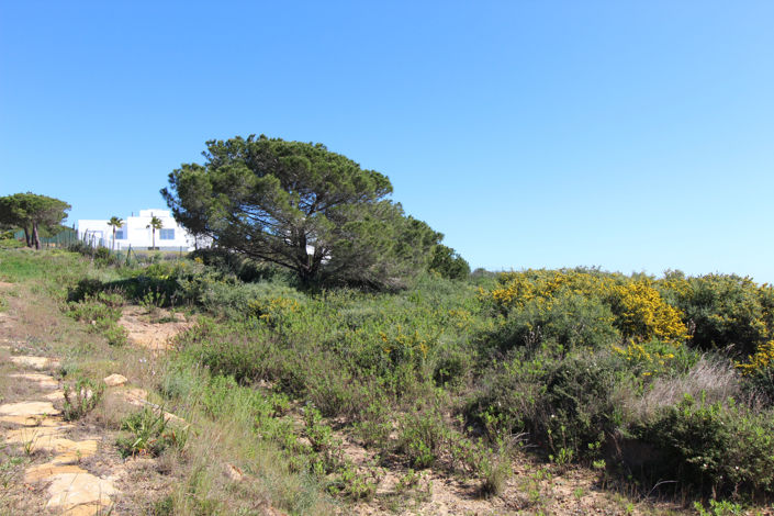 Image No.23-6 Bed Plot for sale