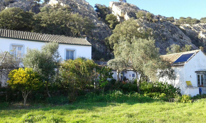 Image No.20-Plot for sale