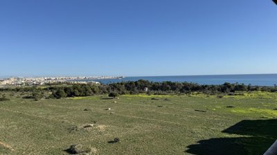 16136img6601
