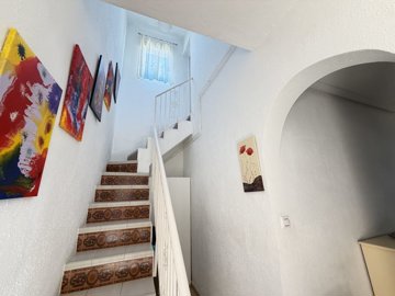 16156img51361